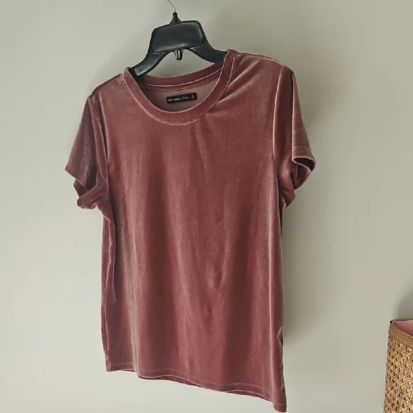 Abercambie And Fitch Short Sleeve Velvet Tee in Dusty Rose - Picture 3 of 4